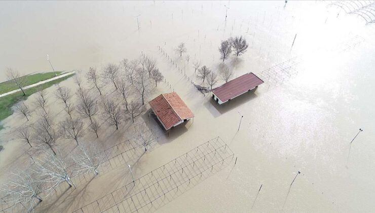 Ergene Nehri taştı, tarım arazileri su altında