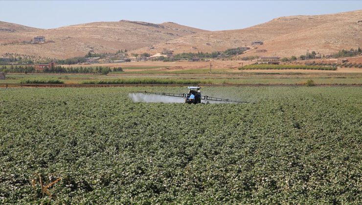 Tarım Kredi gübre fiyatlarında indirim yaptı