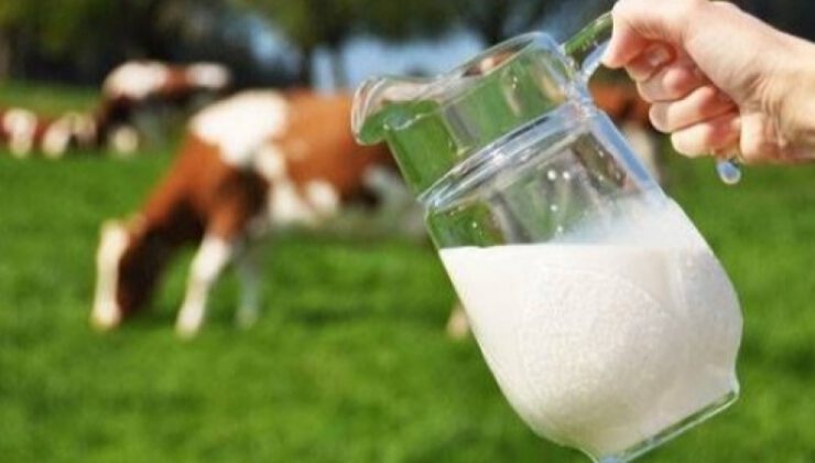 Çiğ süt desteği 1 liraya çıkarıldı
