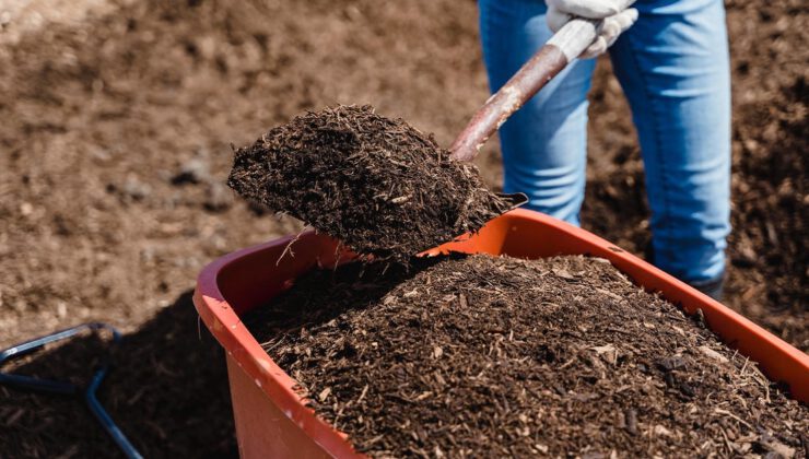 Gübrede fiyat artışı yüzde 153’e ulaştı