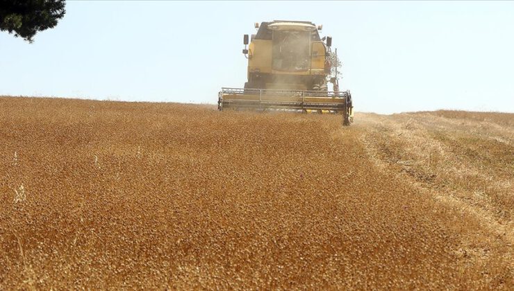 Atıl arazilerde tarımsal üretim ve tesis yatırımlarına hibe