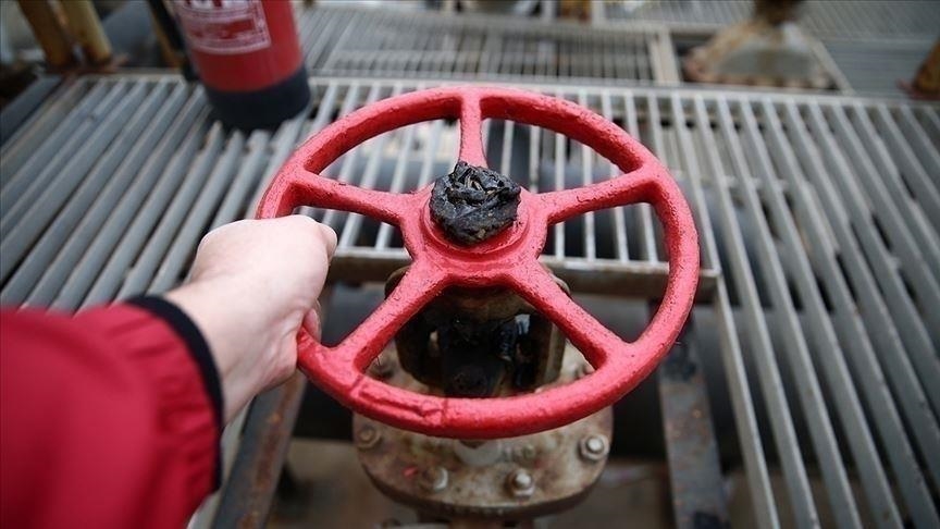 Litvanya, Rusya’dan doğal gaz alımını durdurdu