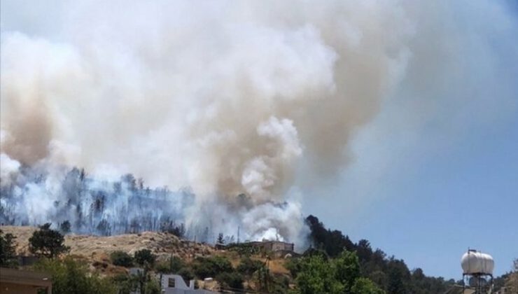 Kuzey Kıbrıs’ta orman yangını