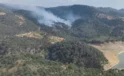Urla ve Dikili’de orman yangını