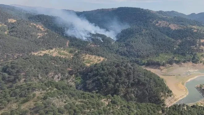 Urla ve Dikili’de orman yangını