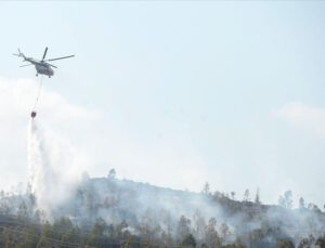 Türkiye ve Azerbaycan orman yangınlarına karşı iş birliği