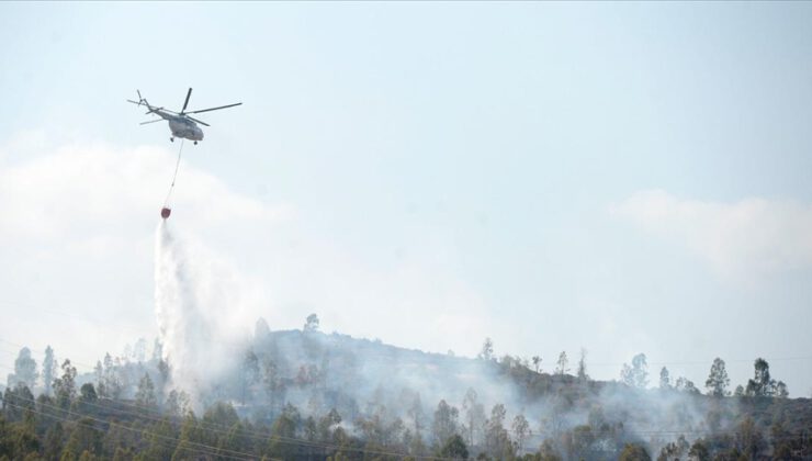 Türkiye ve Azerbaycan orman yangınlarına karşı iş birliği