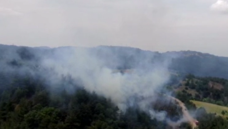 Bursa’da korkutan orman yangını