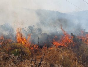 Dalaman’da orman yangını