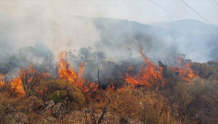 Dalaman’da orman yangını