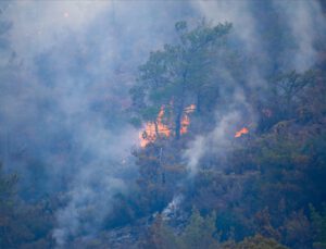 Orman yangınlarına karşı valiliklere uyarı