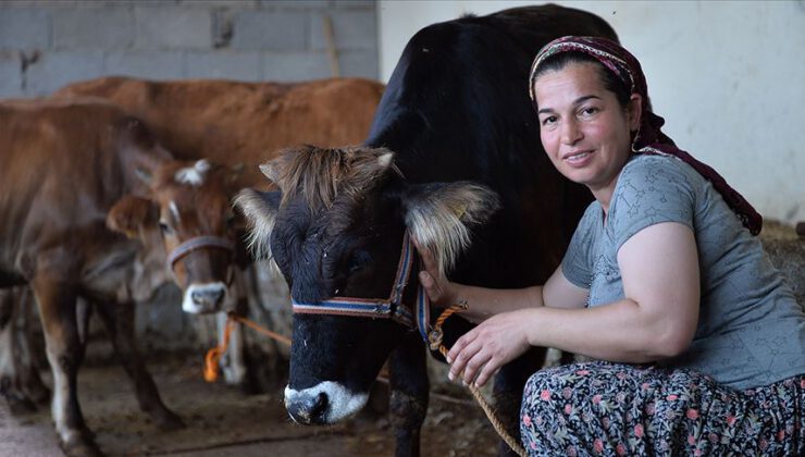 Besicilere verilen desteğin süresi uzatıldı