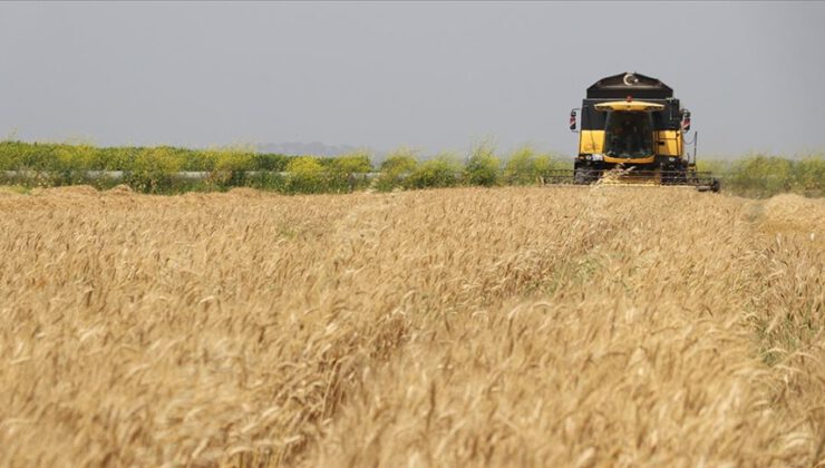 Buğday ve arpa alım fiyatları açıklandı