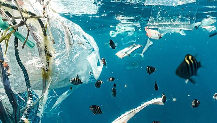 Plastik atıklar ve küresel ısınma nedeniyle okyanuslar alarm veriyor