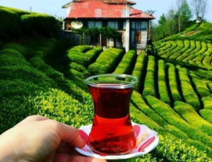 Rize’den yılın ilk 6 ayında 4,7 milyon dolarlık çay ihraç edildi