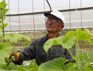 “Örnek çiftçi” ata tohumunu gelecek nesillere aktarmak için mücadele ediyor