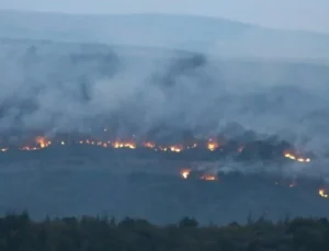 Bulgaristan’da orman yangını: Edirne’nin sınır köylerine dayandı
