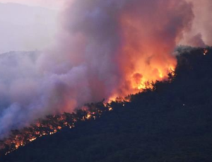 Muğla’daki orman yangınına müdahale sürüyor