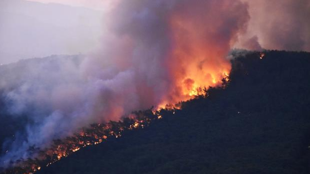 Muğla’daki orman yangınına müdahale sürüyor