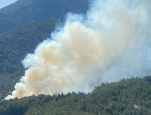 İzmir Kemalpaşa’da çıkan orman yangınına müdahale ediliyor
