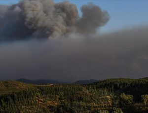 Orman yangınları hava kalitesini düşürecek