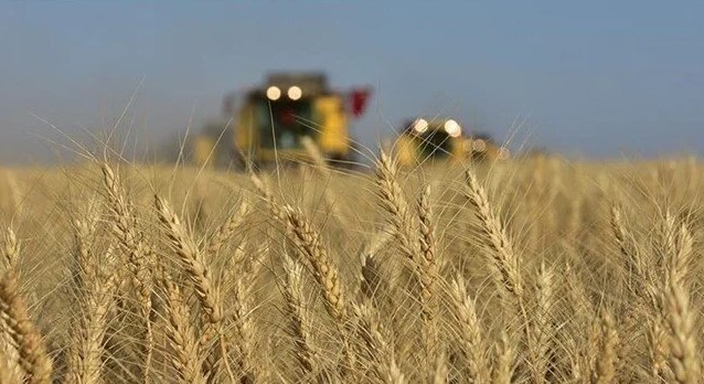 Buğday fiyatları üç ayın zirvesini gördü