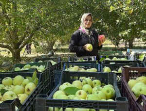 Isparta’dan yıl sonuna kadar 200 bin ton elma ihraç edilecek