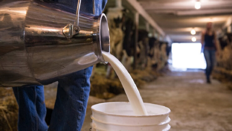 Süt üreticileri büyük krizde