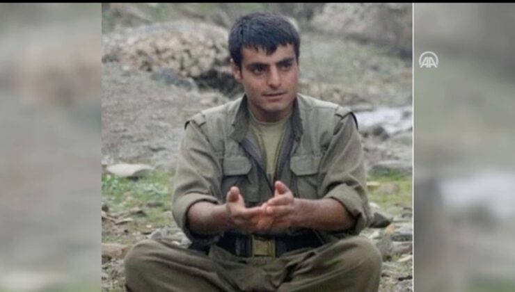 Sözde PKK sorumlusu etkisiz hale getirildi