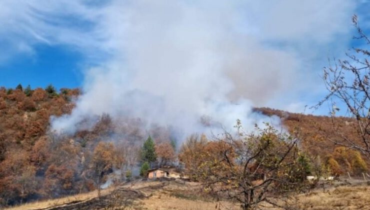 Bursa’da orman yangını