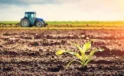 Tarım yatırımlarında destek limitleri artırıldı