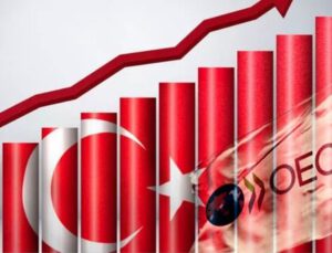 OECD, Türkiye büyüme tahminini düşürdü