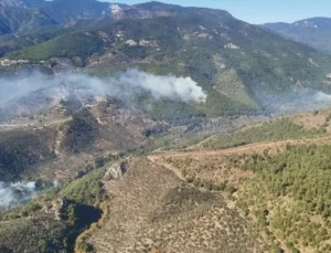 Kazdağları’nda orman yangını