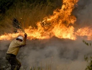 Büyük Manavgat orman yangını davasında karar