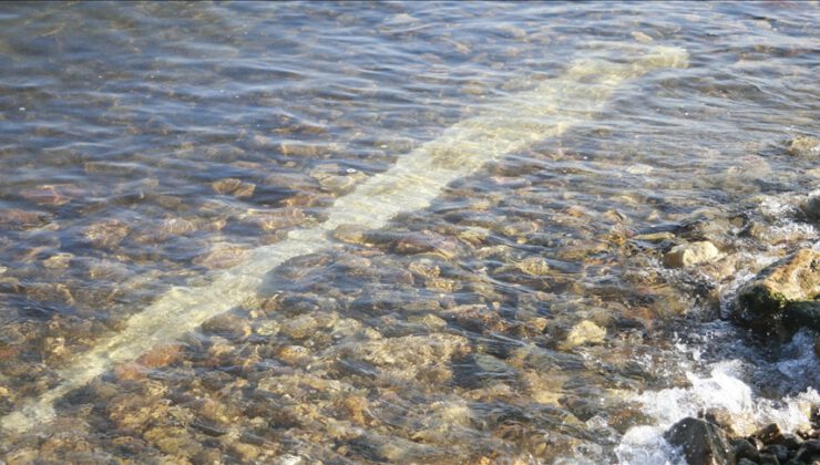 İznik Gölü’nde sular çekilince ortaya çıktı