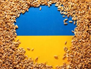 İki ülkeden Ukrayna tahılına yasak