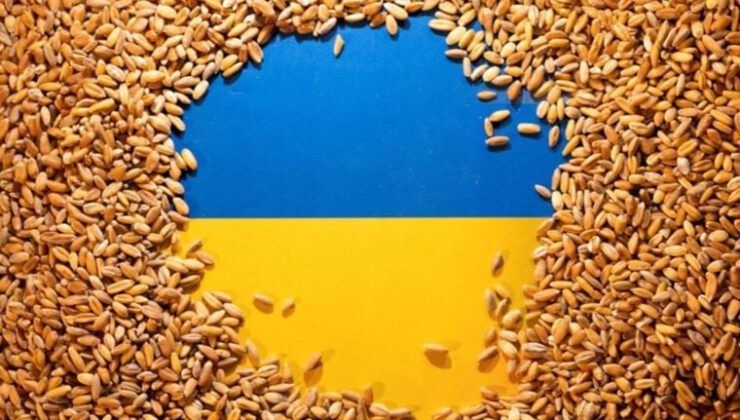 İki ülkeden Ukrayna tahılına yasak