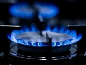 Bedava doğalgazın maliyeti ne kadar?