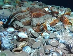 100 bin parçalık büyük keşif!