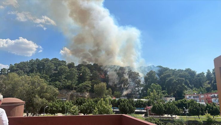 Antalya’da orman yangını