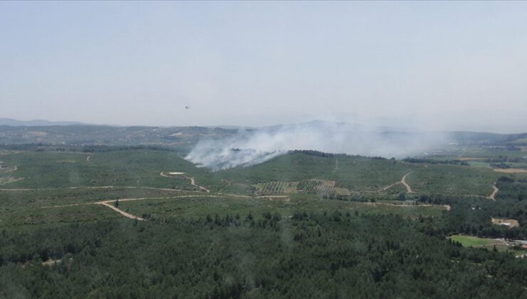 İzmir’de çıkan orman yangınına müdahale ediliyor