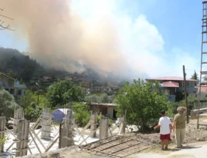 Hatay ve İzmir’de orman yangını