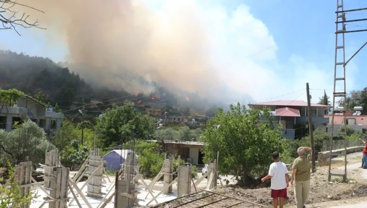 Hatay ve İzmir’de orman yangını