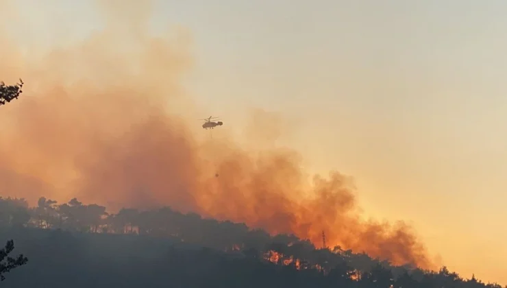 Çanakkale, Tekirdağ ve Diyarbakır’da orman yangını