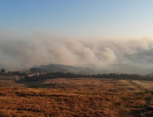 Hatay, Mersin ve Çanakkale’de orman yangınları devam ediyor