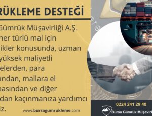 Gümrükleme Desteğine ihtiyacınız mı var?