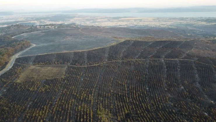 Çanakkale’den iç yakan görüntü