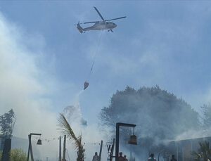 Bodrum’da makilik ve otluk alanda yangın