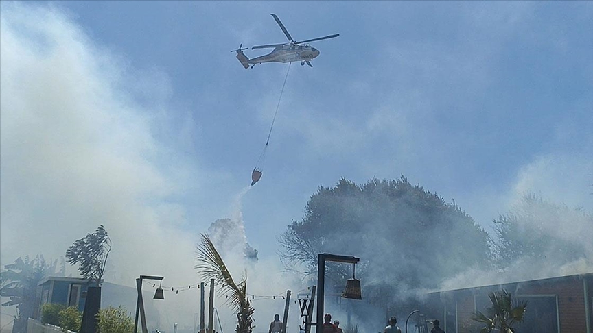Bodrum'da makilik ve otluk alanda yangın