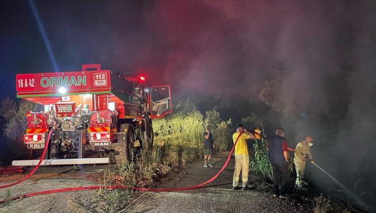 Bursa’da orman yangını